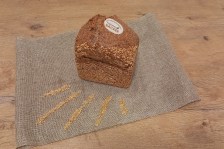 Bio Goldlein Keimbrot7